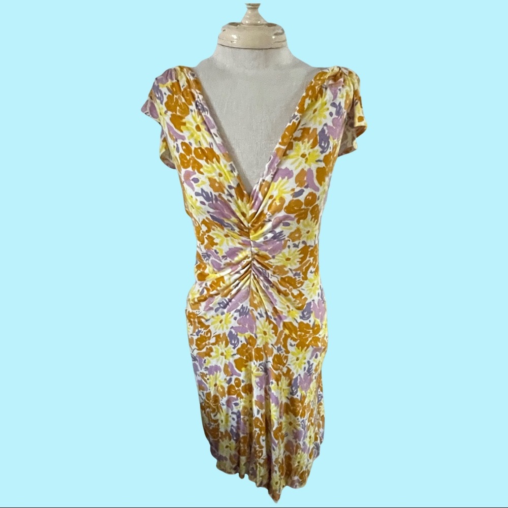 Painted Flowers Free People Sundress